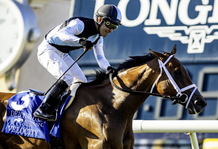 Velocity - Del Mar Oaks - Del Mar - Benoit Photo