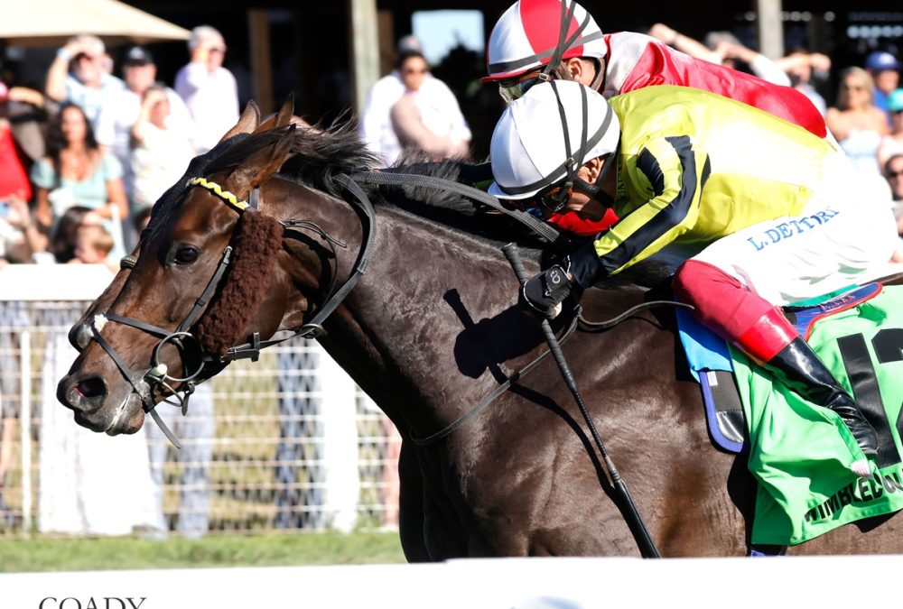Winbledon Hawkeye - Nashville Derby Ge $3,5000,000 - Coady Media.