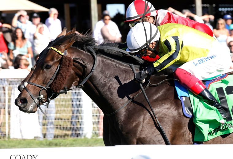 Winbledon Hawkeye - Nashville Derby Ge $3,5000,000 - Coady Media.