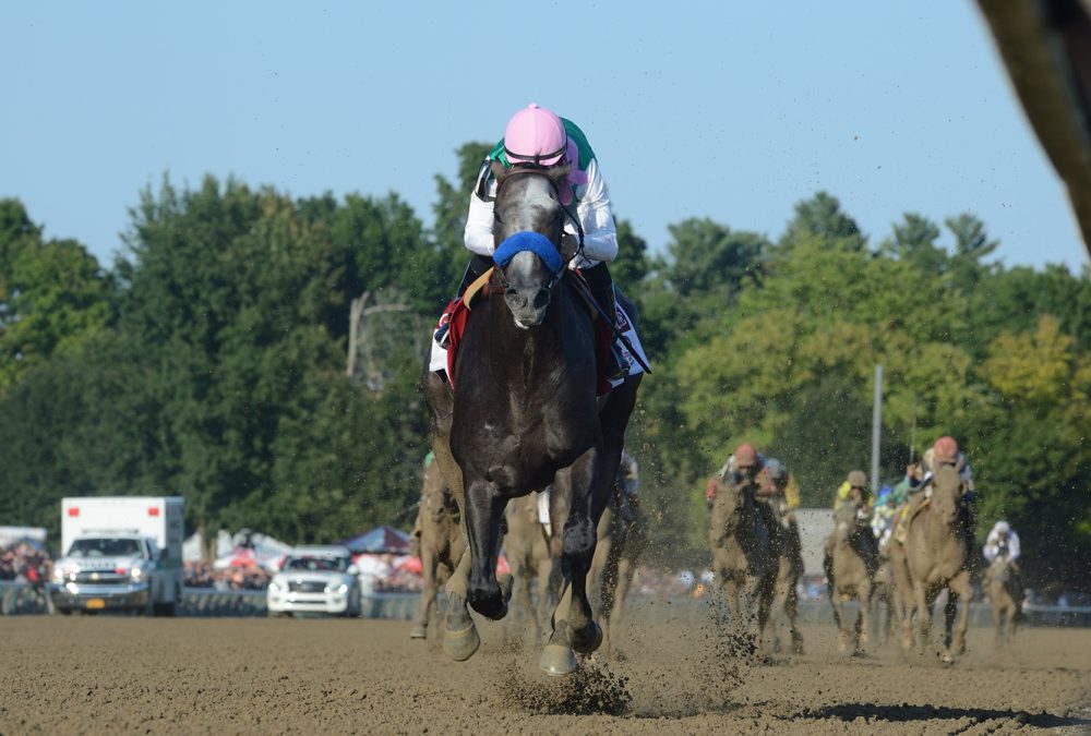 Arrogate - Travers Stakes 2016 - Coglianese Photo