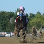 Arrogate - Travers Stakes 2016 - Coglianese Photo