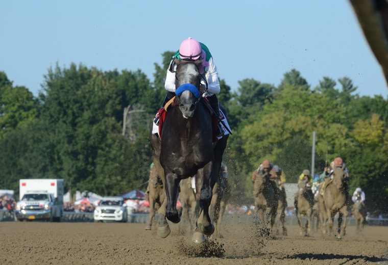 Arrogate - Travers Stakes 2016 - Coglianese Photo
