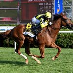 Laurelin - the Saratoga Oaks / Coglianese Photo