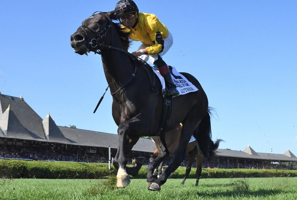 Luther (GB) - NMRHOF G2 - Coglianese Photo