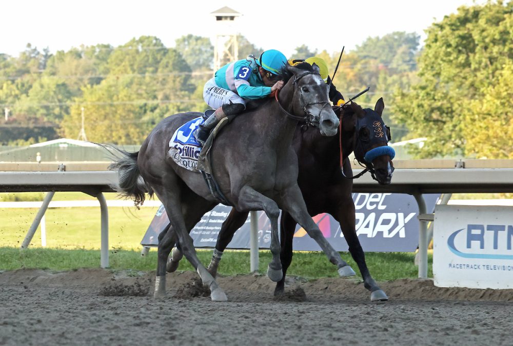 Clicquot - Grade I Cotillion Stakes at Parx Racing in Bensalem, PA - Photo by Taylor Ejdys/EQUI-PHOTO.