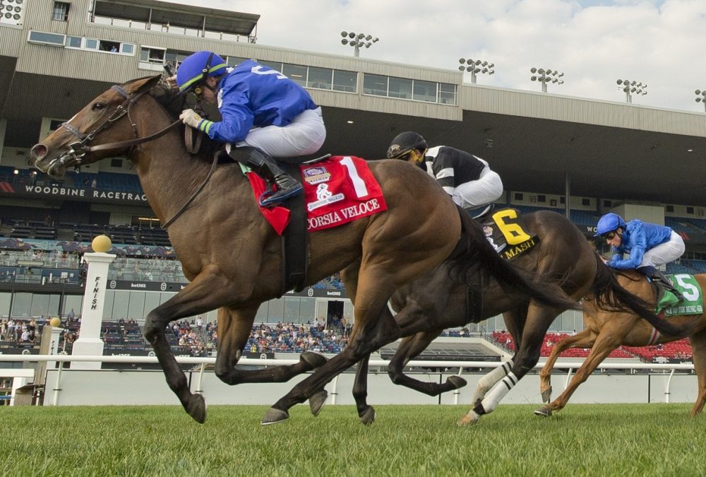 Corsia Veloce - Natalma G1 - Michael Burns Photo - Woodbine