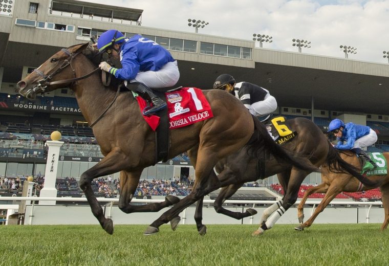 Corsia Veloce - Natalma G1 - Michael Burns Photo - Woodbine
