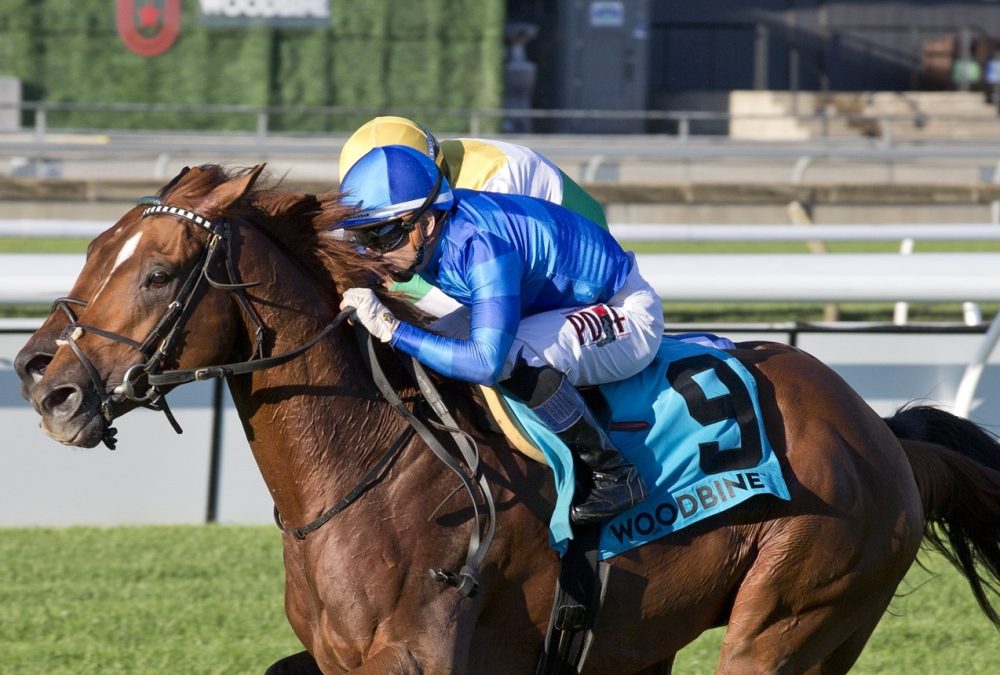 Tom's Magic - Breeders' Stakes - Woodbine - Michael Burns Photo