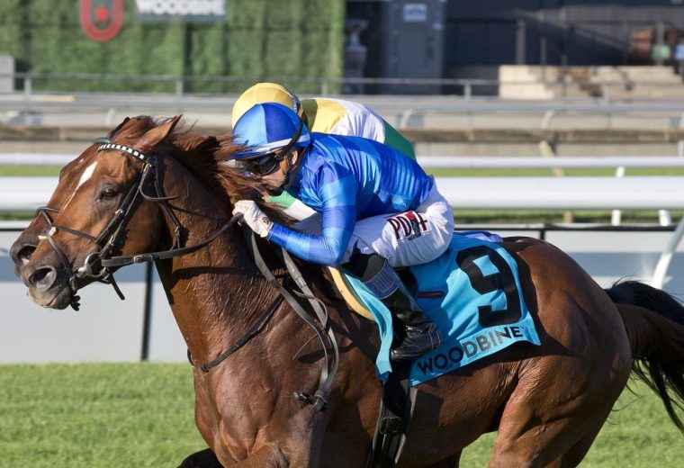 Tom's Magic - Breeders' Stakes - Woodbine - Michael Burns Photo