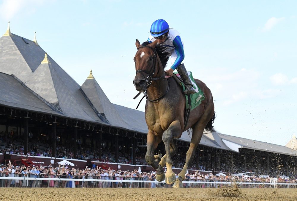 Bookem Danno - Coglianese Photo