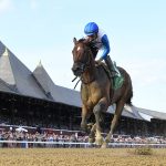 Bookem Danno - Coglianese Photo