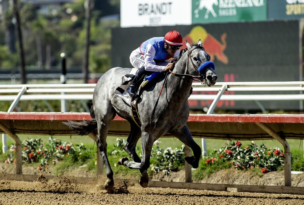BRANT - G1 Del Mar Futurity - Benoit Photo