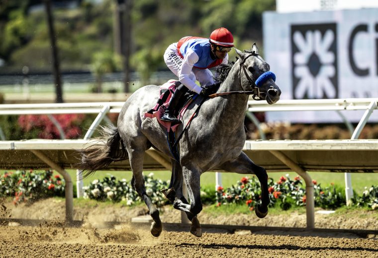 Brant - Beyer 101 - Benoit Photo / Del Mar