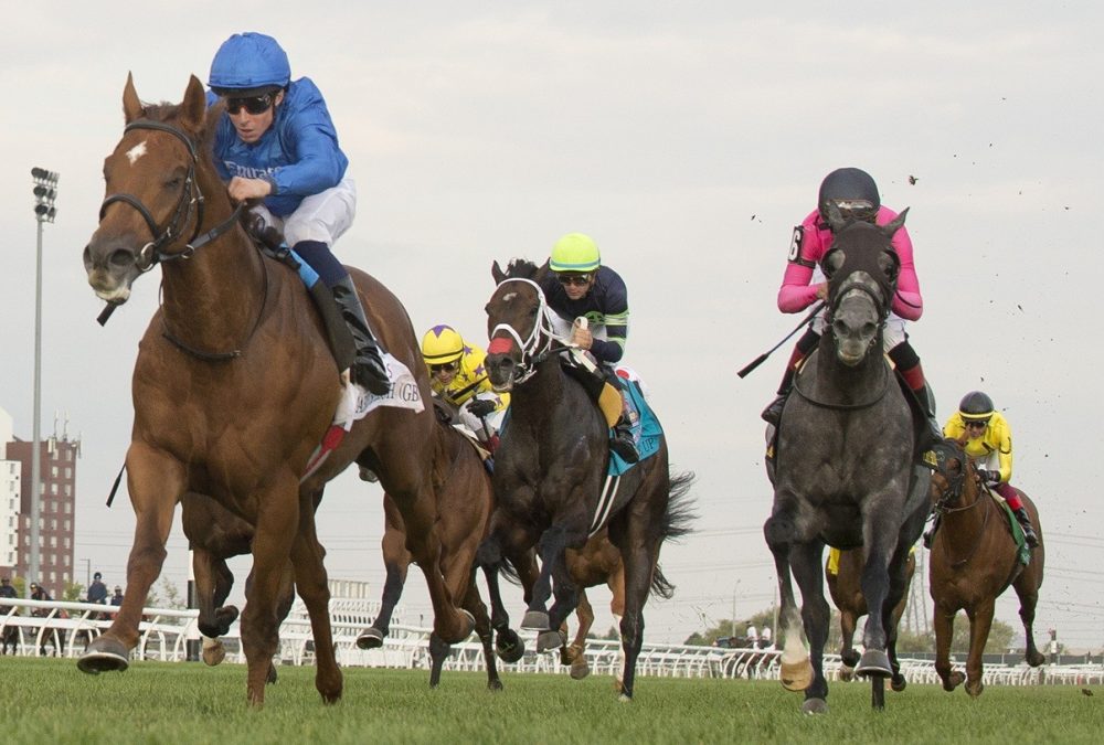 Notable Speech (GB) - Woodbine Mile G1 - Michael Burns Photo - Woodbine