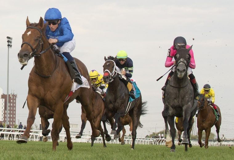 Notable Speech (GB) - Woodbine Mile G1 - Michael Burns Photo - Woodbine