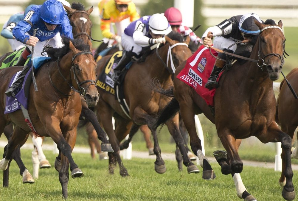 Argos - Summer Stakes G1 - Woodbine - Michael Burns Photo