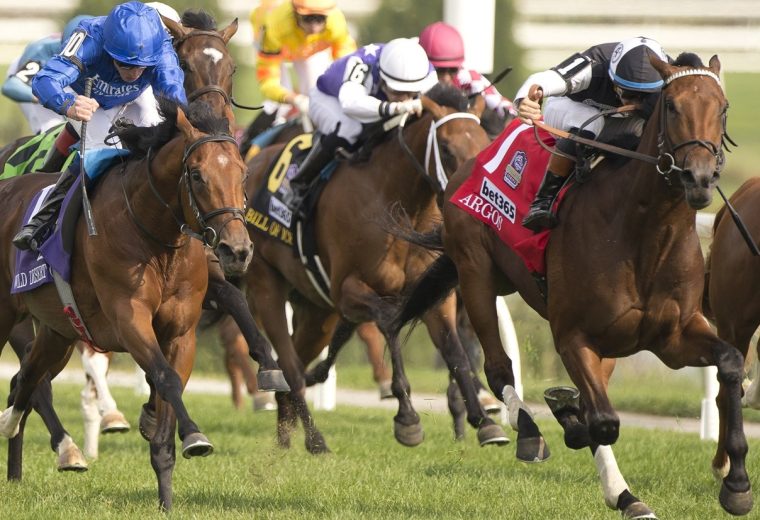 Argos - Summer Stakes G1 - Woodbine - Michael Burns Photo