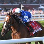 El Cordobes - Photo credit Chelsea Durand - Coglianese Photo