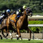 Gold Phoenix - Grade II, $200,000 John Henry Championship - Santa Anita Park - Benoit Photo
