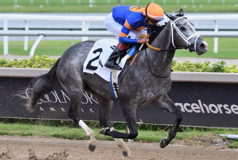 Haulin Ice - the Princess Rooney - credit Ryan Thompson - Coglianese Photo