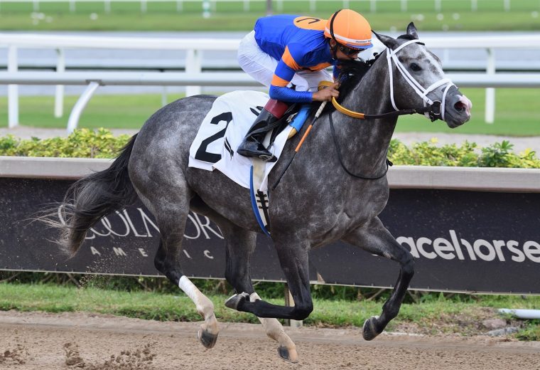 Haulin Ice - the Princess Rooney - credit Ryan Thompson - Coglianese Photo