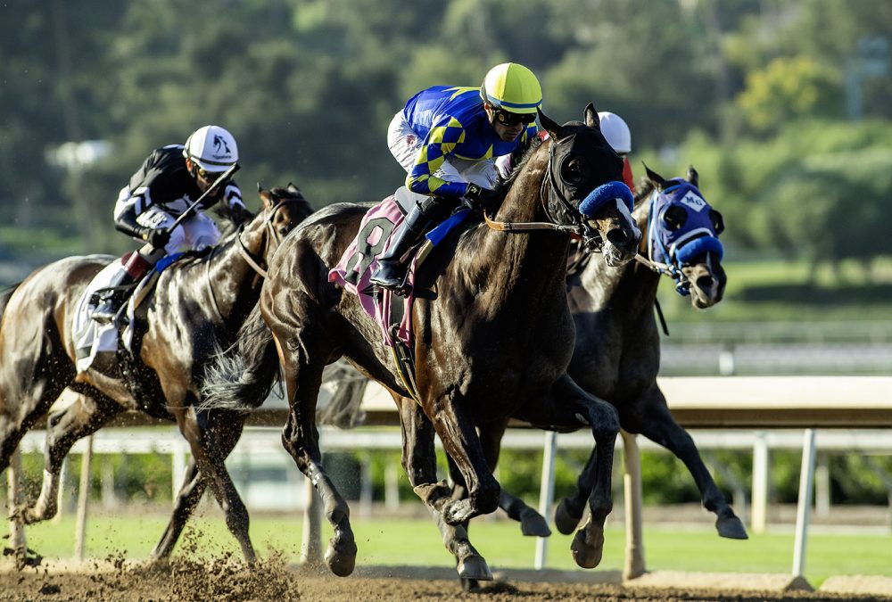 Imagination - Grade II, $200,000 Santa Anita Sprint Championship, Santa Anita Park, Arcadia CA. © BENOIT PHOTO
