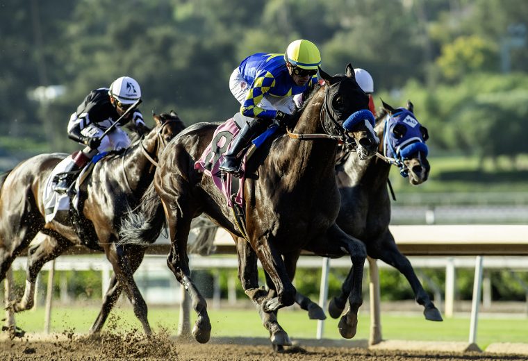 Imagination - Grade II, $200,000 Santa Anita Sprint Championship, Santa Anita Park, Arcadia CA. © BENOIT PHOTO