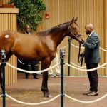 Keeneland September - Photo Keeneland Sales - For Editorial usage only.