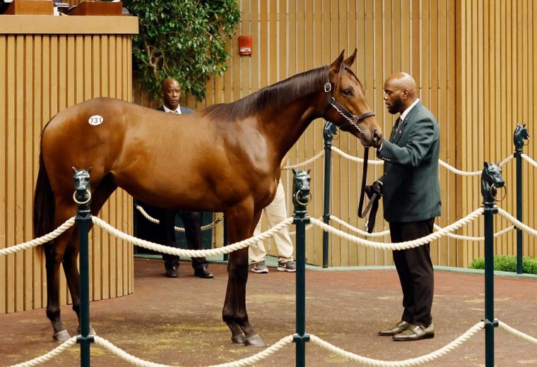 Keeneland September - Photo Keeneland Sales - For Editorial usage only.