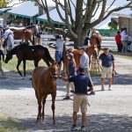 Scenics, 2025 Keeneland September Yearling Sale - For editorial usage only