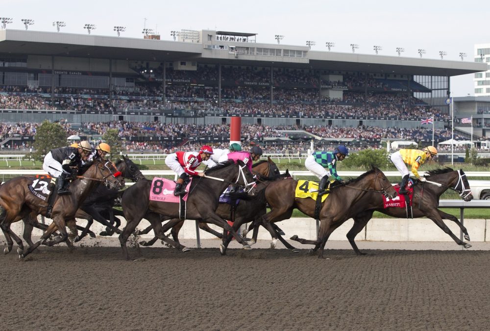 Woodbine Racetrack - Michael Burns Photo