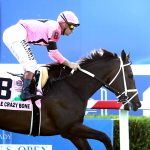Ole Crazy Bone - Kentucky Turf Cup Invitational G2 - Coady Media