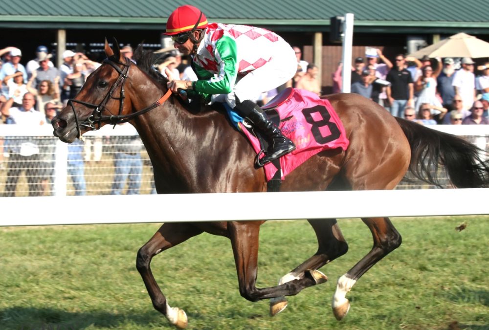 'S WINE - The Mint One Dreamer - Kentucky Downs - Renee Torbit - Coady Media