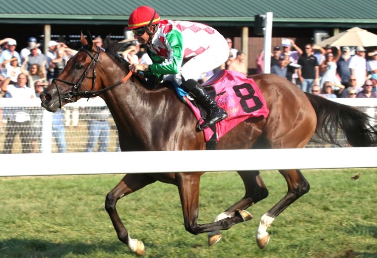 'S WINE - The Mint One Dreamer - Kentucky Downs - Renee Torbit - Coady Media