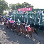 Parx Scenic - Photo Bill Denver - Parx Racing