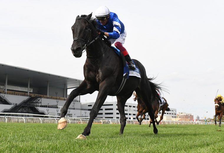 Rebels Romance - Joe Hirsch G1 - BAQ - Coglianese Photo