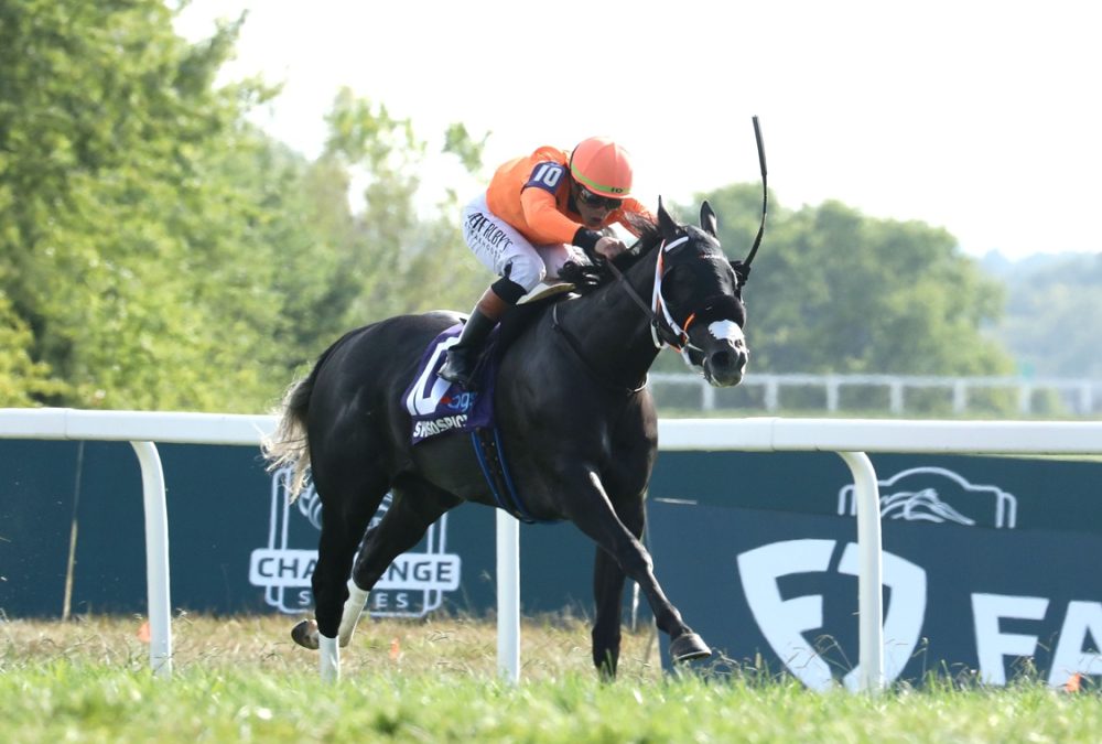 Shisospicy - Music City G2 - Coady Media