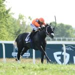 Shisospicy - Music City G2 - Coady Media