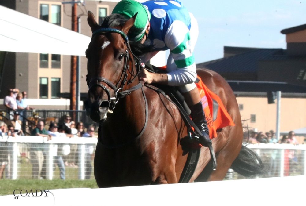 STREET BEAST - Global Tote Juvenile Mile - 14th Running - Kentucky Downs - Coady Photo - Shelly Radosevich