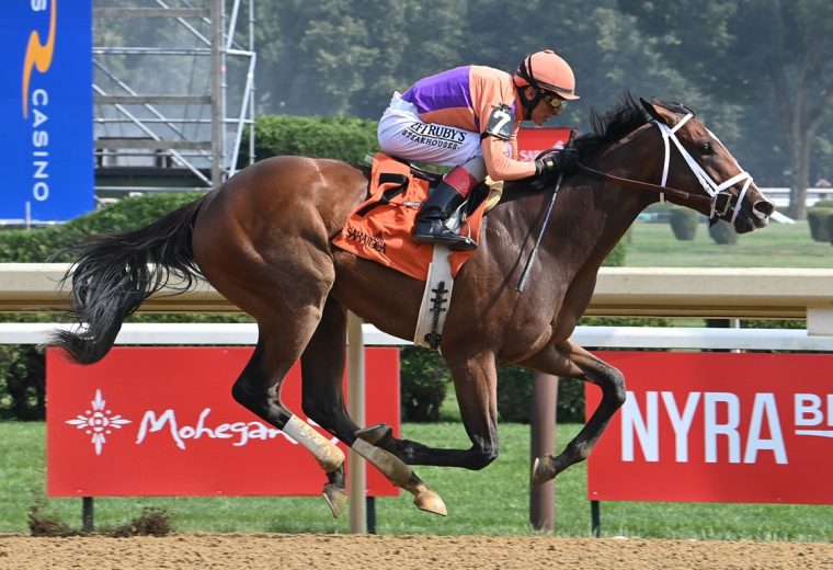 Tommy Jo - credit Susie Raisher - Coglianese Photo