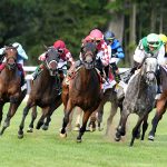 Fionn - credit Dom Napolitano - Coglianese Photo