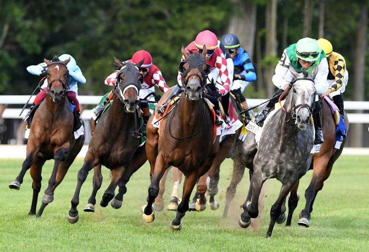 Fionn - credit Dom Napolitano - Coglianese Photo