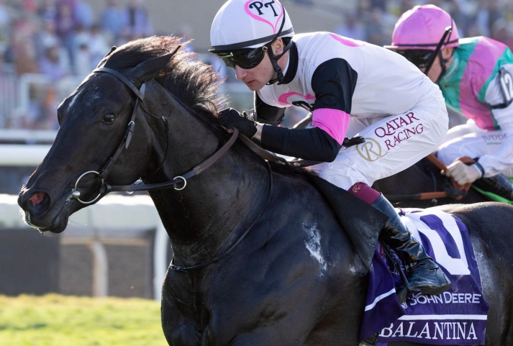 Balantina - BC Juvenile Fillies Turf - Barbara D. Livingston - Daily Racing Form