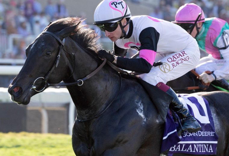 Balantina - BC Juvenile Fillies Turf - Barbara D. Livingston - Daily Racing Form