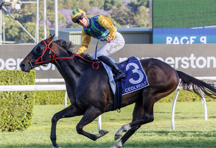 Ceolwulf - King Charles III Grupo 1 - Sky Racing World