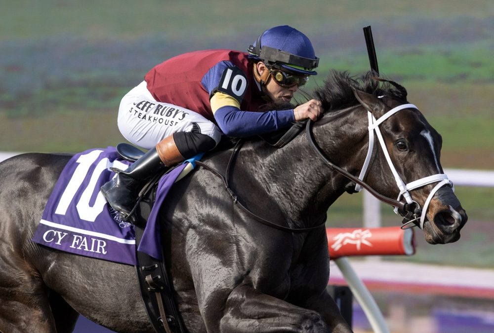 Cy Fair - BC Juvenile Turf Sprint - Barbara D. Livingston - Daily Racing Form