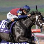 Cy Fair - BC Juvenile Turf Sprint - Barbara D. Livingston - Daily Racing Form