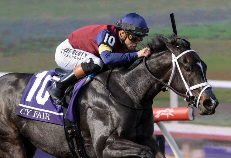 Cy Fair - BC Juvenile Turf Sprint - Barbara D. Livingston - Daily Racing Form