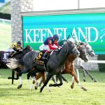 DESVIO - The Sycamore G2 - 31st Running - Keeneland Race Course - Stephen Ibanez - Coady Media