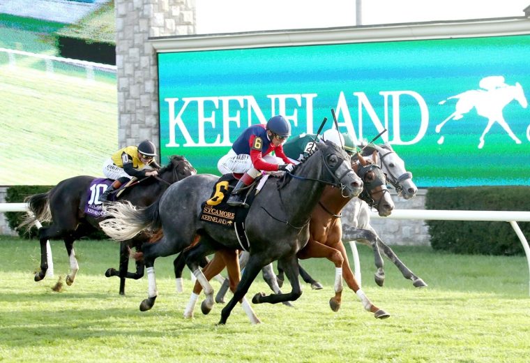 DESVIO - The Sycamore G2 - 31st Running - Keeneland Race Course - Stephen Ibanez - Coady Media
